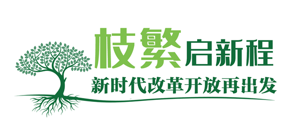 高山榕樹5.png