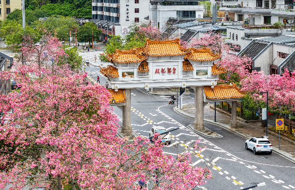 廣州從化啟動(dòng)首屆絲木棉節(jié)